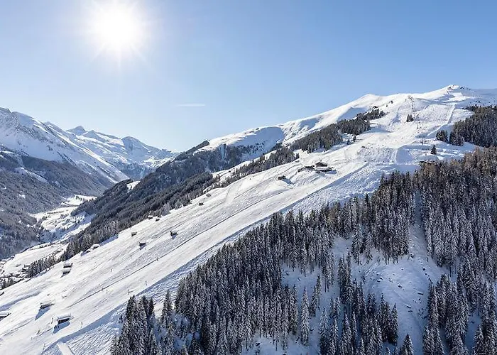 شقة Maximilian تكس