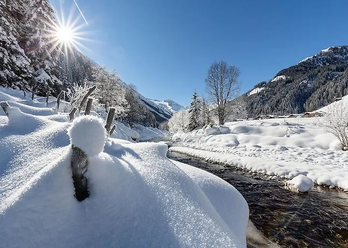 Maximilian Apartament *